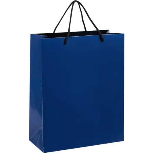 Altitude Dazzle Midi Paper Gift Bag Navy Unbranded